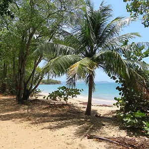  Hébergement de vacances Korn Lambis Martinique